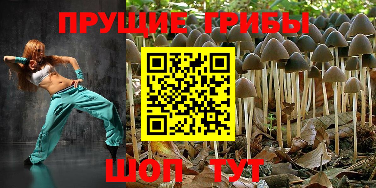 Псилоцибиновые грибы мухоморы  Вход с VPN  Прохладный 